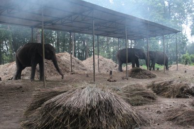 Elephant Stables 3