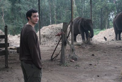 Elephant Stables 7 - Dan