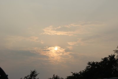 Jungle Drive 6 - Sunset