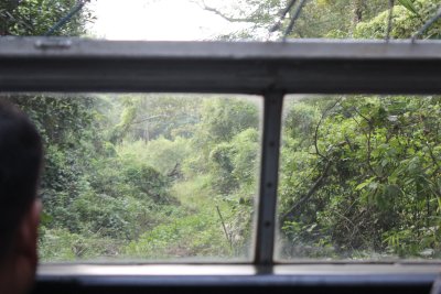 Jungle Drive 7 - Who Needs Roads