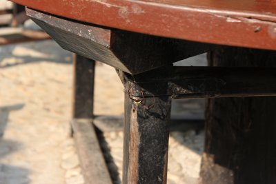 Lodge Life 12 - Spider