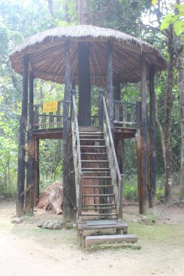 Lodge Life 3 - Tree House