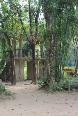Lodge Life 7 - Elephant Platform