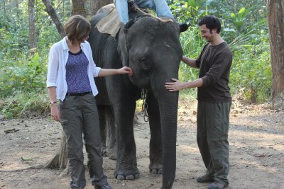 Elephant Briefing 2 - Dan and Clare