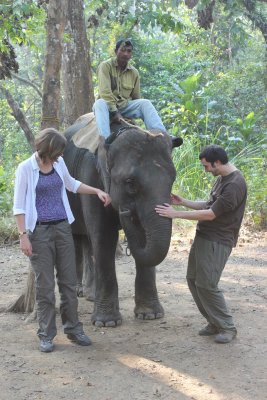 Elephant Briefing 4 - Dan and Clare