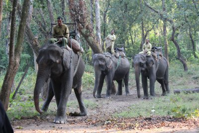 Elephant Safari 1 - Ready to Board