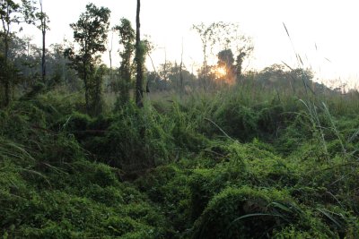 Elephant Safari 10 - Nearing Sunset
