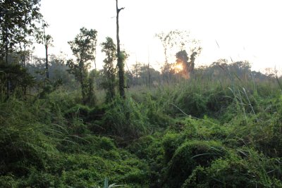 Elephant Safari 11 - Nearing Sunset