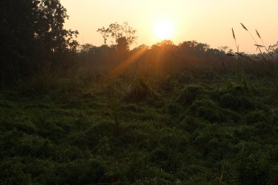 Elephant Safari 13 - Sunset