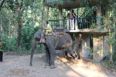 Elephant Safari 2 - All Aboard