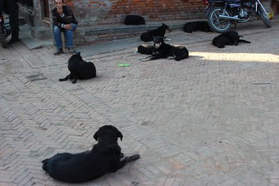 Bhaktapur 61
