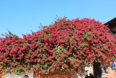 Bhaktapur 8