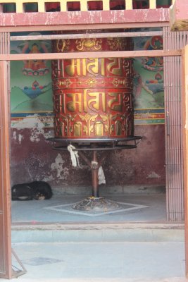 Bodhnath 21