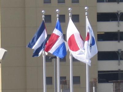 Petco - Final 4 Flags 2.jpg