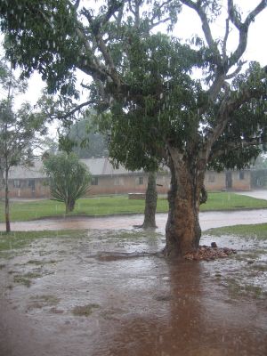 Here Comes the Rain Again
