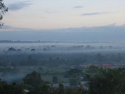 Morning fog