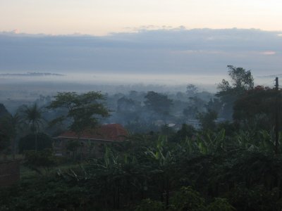 Morning fog 2