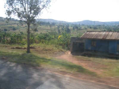 On the road to QENP