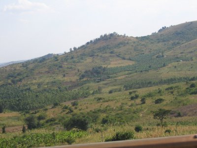 On the road to QENP 2