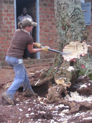 91 - Lumber Amanda 1.jpg