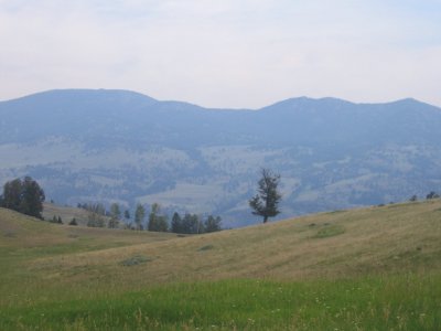 Blacktail Plateau Drive 1