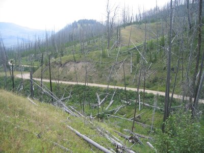 Blacktail Plateau Drive 5