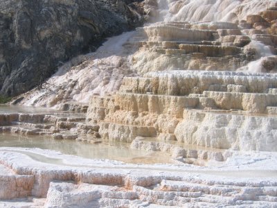 Lower Terrace - Pallette Springs 3