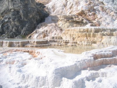 Lower Terrace - Pallette Springs 4