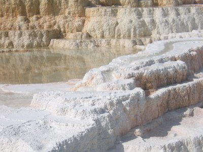 Lower Terrace - Pallette Springs 5