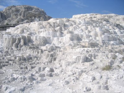 Lower Terrace - Minerva Terrace 1