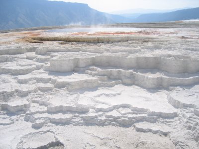 Lower Terrace - New Blue Spring 1