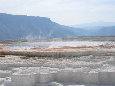 Lower Terrace - New Blue Spring 2
