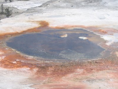 Lower Terrace - New Blue Spring 3