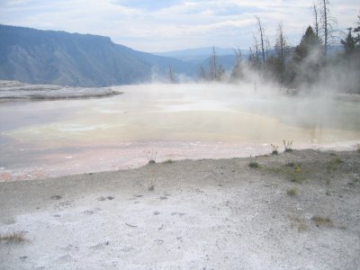 Upper Terrace - Canary Spring 3