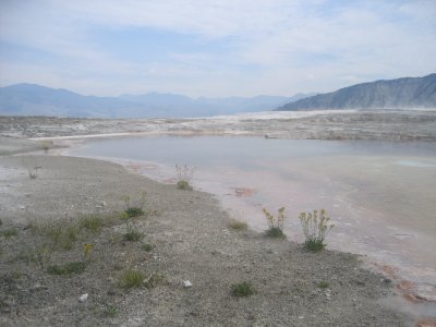 Upper Terrace - Canary Spring 5