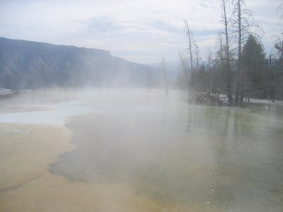 Upper Terrace - Canary Spring 7