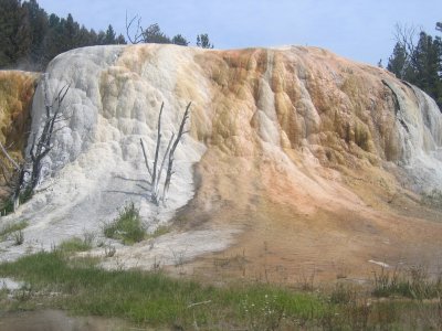 Upper Terrace - Orange Spring Mound 1