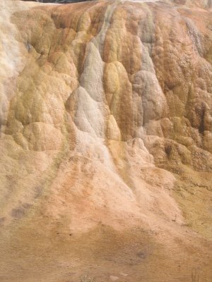 Upper Terrace - Orange Spring Mound 2.jpg