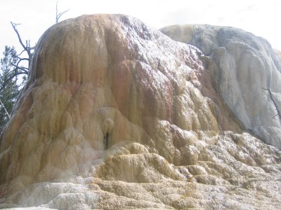 Upper Terrace - Orange Spring Mound 3