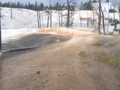 Upper Terrace - Angel Terrace 1