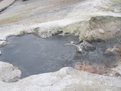 Norris Basin - Black Pit Spring