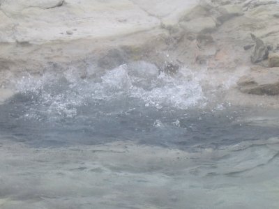 Norris Basin - Crater Spring 1