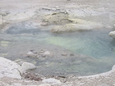 Norris Basin - Crater Spring 2