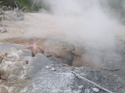 Norris Basin - Puff N Stuff Geyser