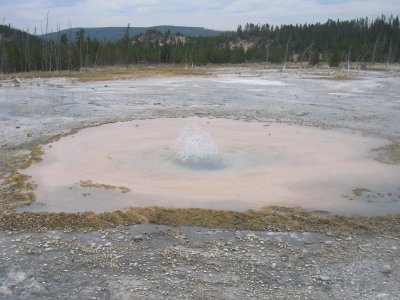 Norris Basin - Pearl Geyser 2
