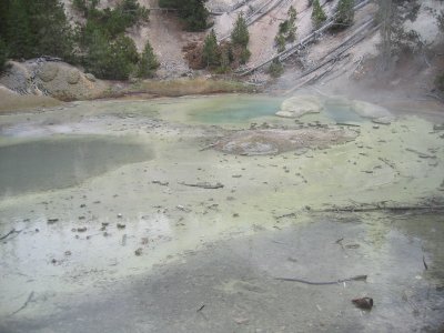 Norris Basin - Monarch Geyser 1