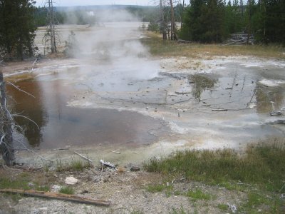 Norris Basin - Minute Geyser