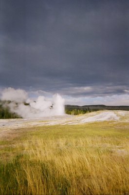 Old Faithful 4