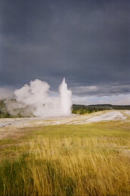 Old Faithful 5