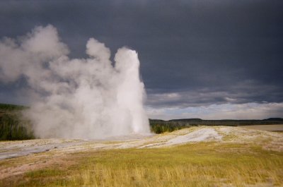Old Faithful 7